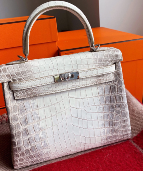 에르메스 켈리백25 히말라야 은장 악어가죽